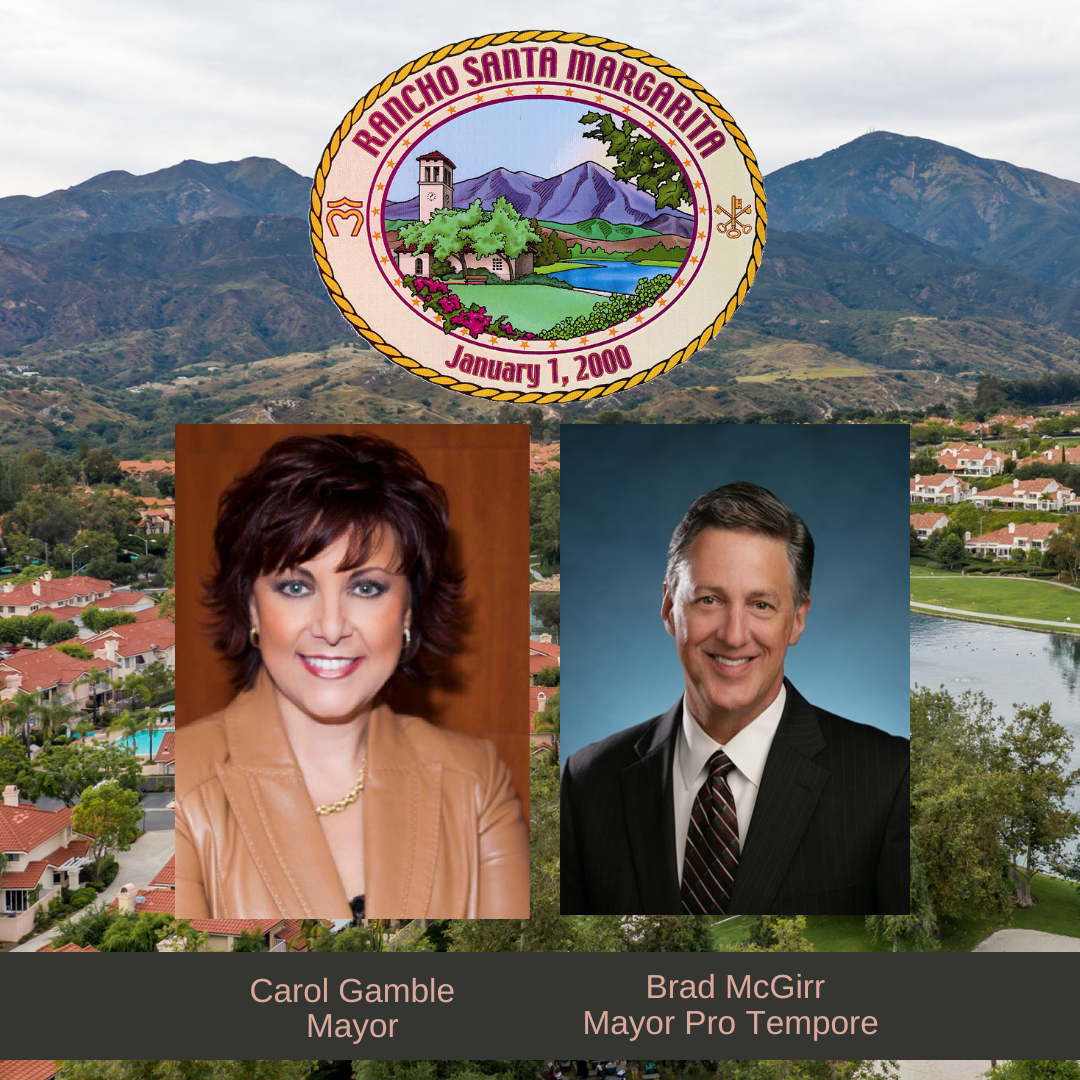 Council Reorganization  2023