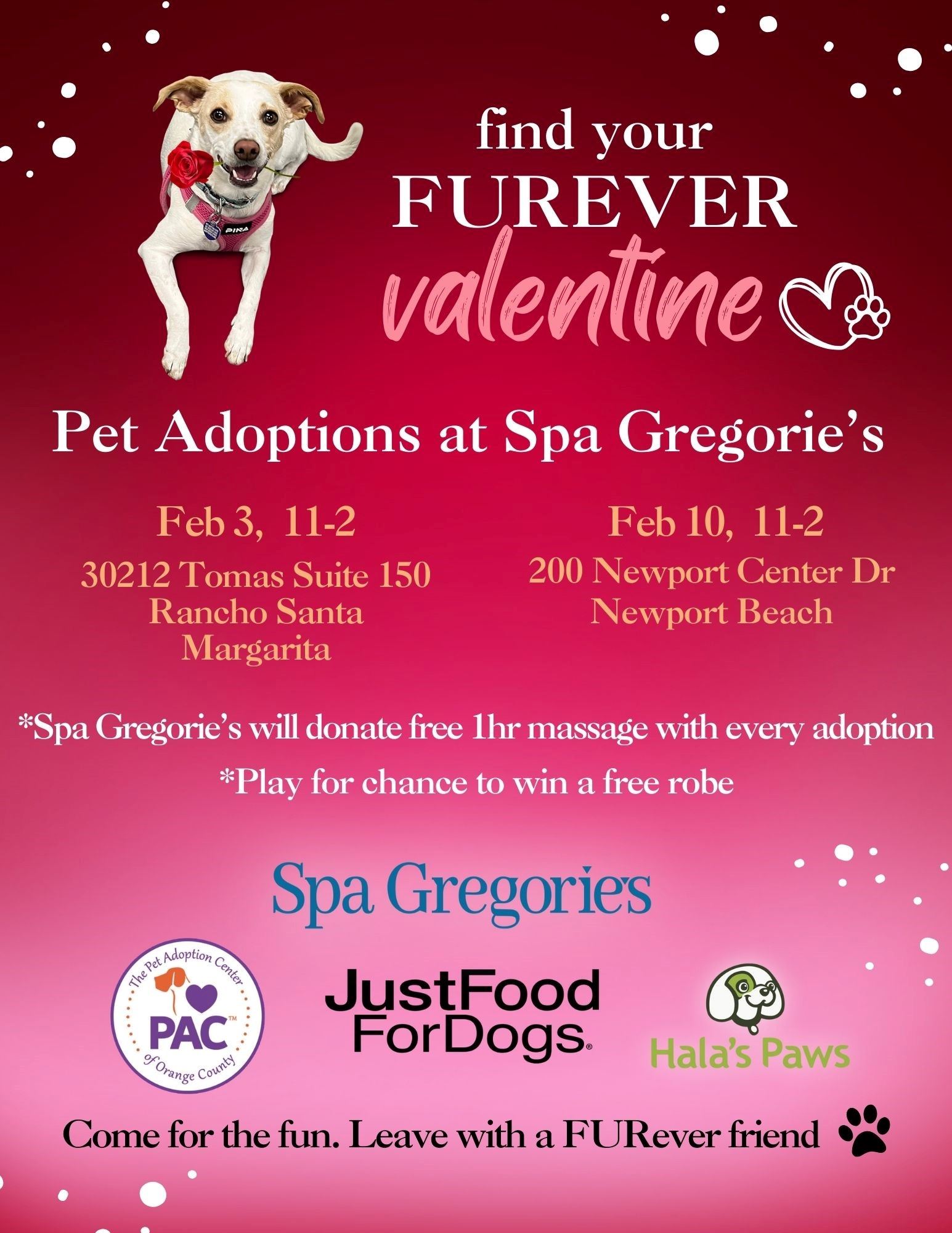 Pet Adoption Center of OC flyer