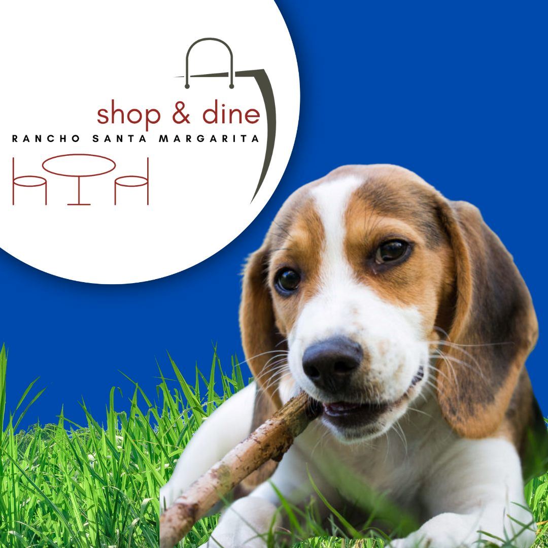 Shop Dine Doggy