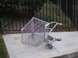 shopping cart