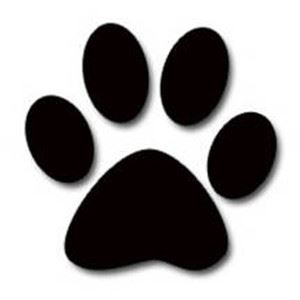 Paw print graphic