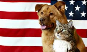 Patriotic pets