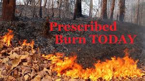 prescribed burn
