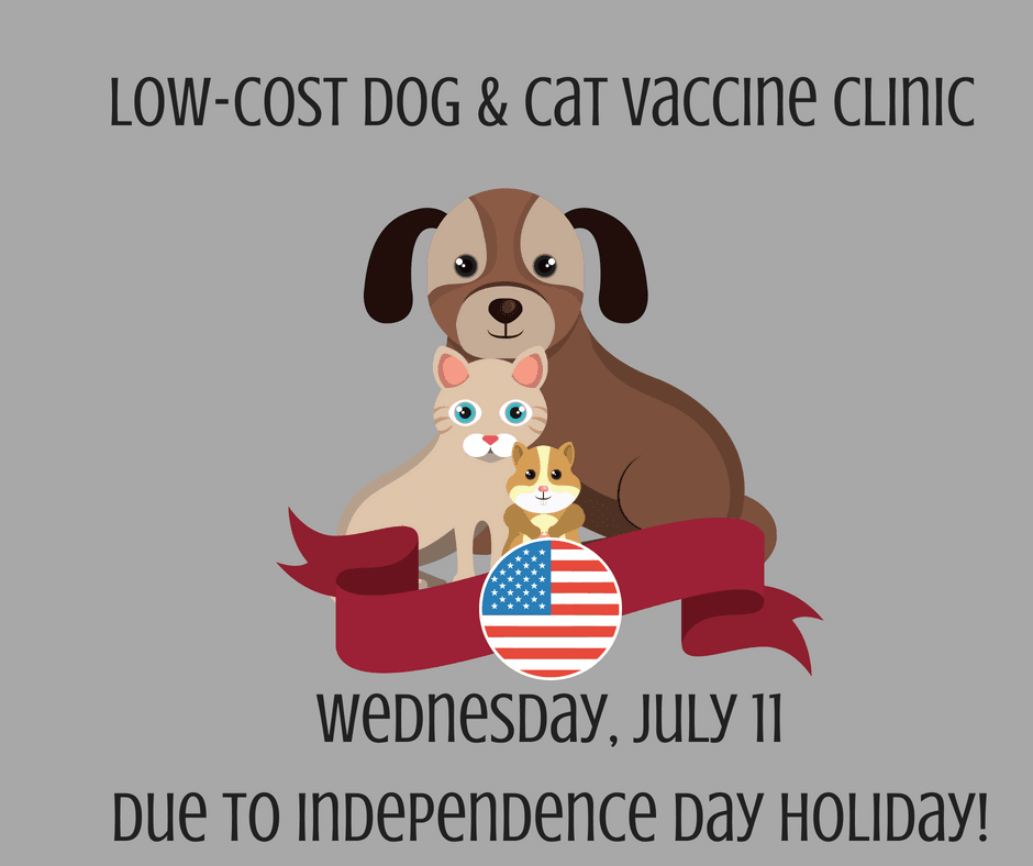 Pet Care Clinic date change graphic