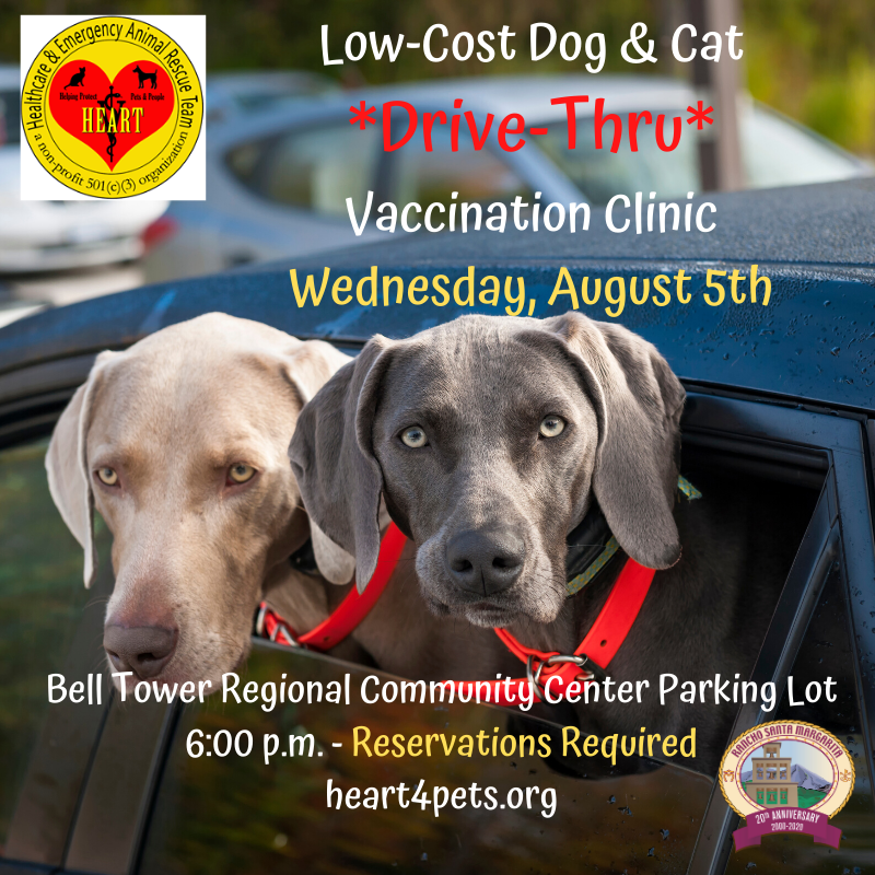 Pet Clinic dog graphic 08052020