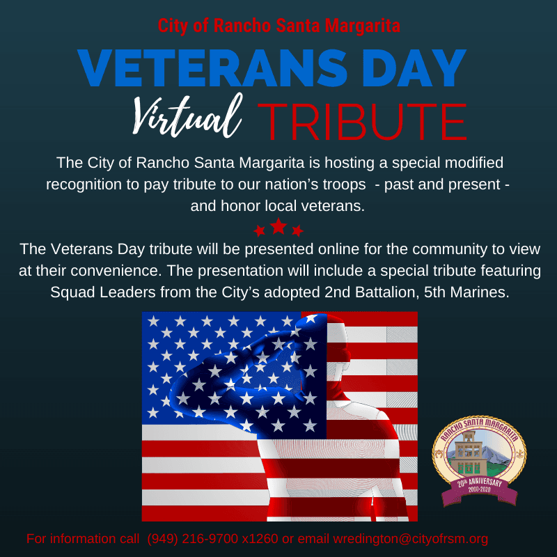 Veterans Day 2020 graphic