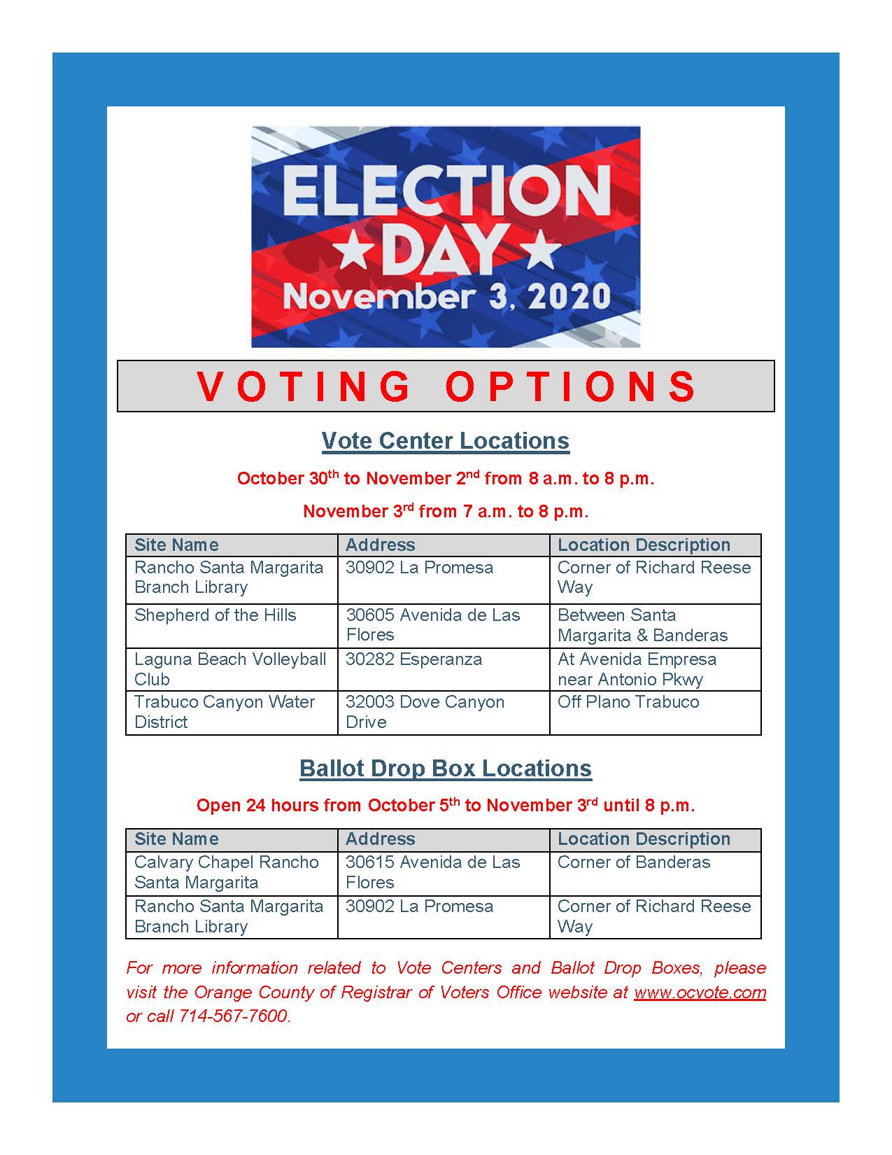 Voting Options Flyer - edit