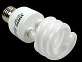Compact Fluorescent Light